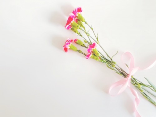 カーネションを贈る本数によっても意味が変わる?