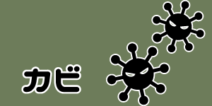 臭いの原因1.カビ