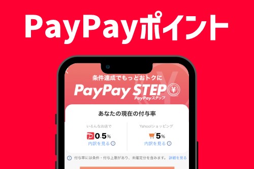 PayPay(ペイペイ)ポイントとは