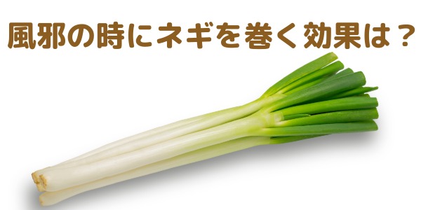 風邪を引いた時に首にネギを巻くのは効果がある?