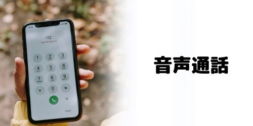 スターリンクで音声通話できる？